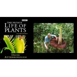 документальные фильмы о растениях