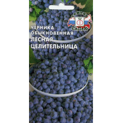 Аппликация из ткани Аппликация из ткани