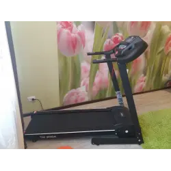 Отзыв о Беговая дорожка Family TM 300A