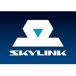 Отзыв о Сотовая связь Skylink (Россия)