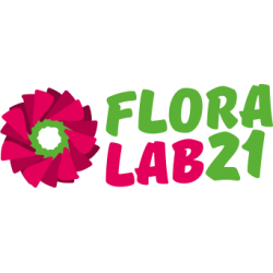 Купить Открытка Время загадывать желание за 100 руб. в Чебоксарах - "FloraLab21"