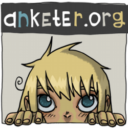 Отзыв о Anketer.org - сайт опросов