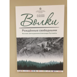 Отзыв о Выставка фотохудожника Александра Пустовойта "Волки. Рожденные свободными" (Россия, Москва)