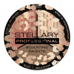 Отзыв о Палетка для контуринга Stellary 3-В-1