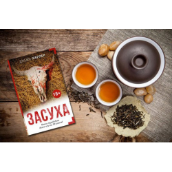 Отзыв о Книга "Засуха" - Джейн Харпер