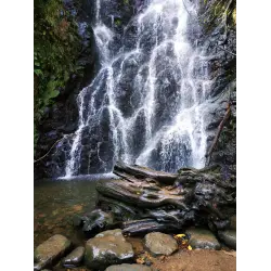 Отзыв о Водопад Мирвети (Грузия, Аджария)