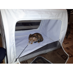 Выставочные палатки для кошек: разновидности