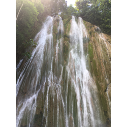 Отзыв о Экскурсия "Водопад El Limon De Samana" (Доминиканская Республика, полуостров Самана)