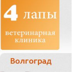 Поликлиника 4 волгоград. 4 Лапы Волгоград Рокоссовского ветклиника. Клиника 4 лапы Волгоград. Четыре лапы ветеринарная клиника Раменское. Ветеринарная клиника четыре лапы Волгоград.