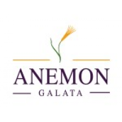 Отзыв о Отель Anemon Galata 4* (Турция, Стамбул)