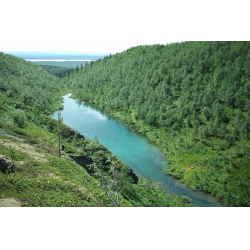 Городские номера в Железногорске (Курская обл.)