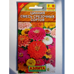 Циния Королева бала