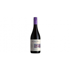 Отзыв о Вино Cono Sur Bicicleta Pinot Noir 2013