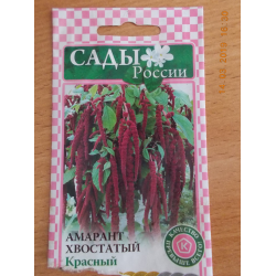 Отзывы о Семена Сады России "Амарант хвостатый красный"