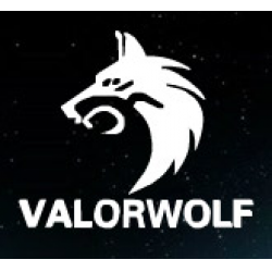Отзывы о Ботинки зимние Valor-Wolf