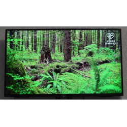 Отзыв о LED телевизор Sony KDL-43WF804