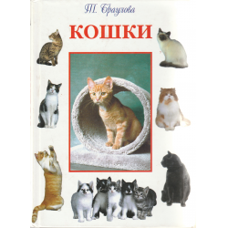 Мир кошек книга. Проект книги кошки. Книга о кошках с карманами. Булатова книга о кошках. Книги о сигналах общения кошек.