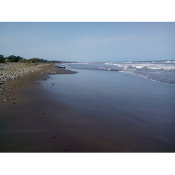 Приморский Крым 🏖 отдых в поселке, снять жилье в частном секторе