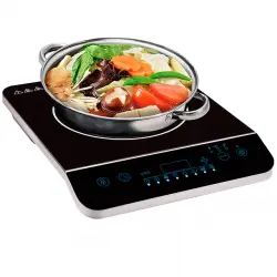 Отзыв о Индукционная плита Oberhof Ein S11