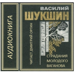 Шукшин обида. Василий Шукшин материнское сердце. Шукшин Василий Сураз. Сураз Шукшин книга. Обида Шукшин рассказ иллюстрации.