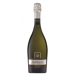 Отзыв о Вино игристое Montelliana Prosecco Treviso Extra Dry