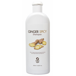 Отзыв о Шампунь для волос Easy Spa Ginger Spicy