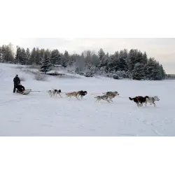 Отзыв о Детский лагерь "Большое приключение" (Россия, Москва)