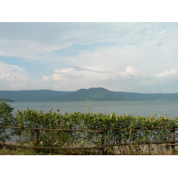 Отзыв о Озеро Lago di Vico (Италия, Лацио)