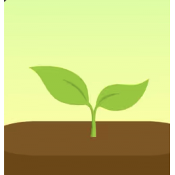 Отзыв о Forest - приложение на Android и iOS