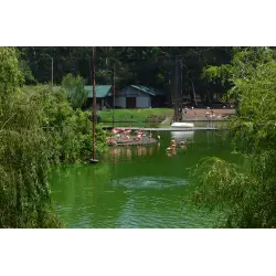 Отзыв о Дендрологический парк Шекветили (Грузия, Шекветили)