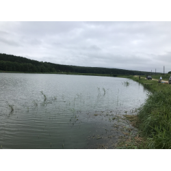 Рыбалка заря нижегородская