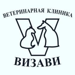 Визави центр. Визави ветклиника. Ветклиника Визави Тольятти. Ветклиника в Подстепках. Ветеринарная клиника в с.Подстепки.