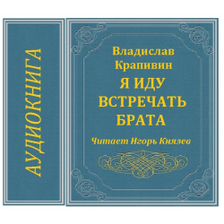 Встречаем брата. Я иду встречать брата. Я иду встречать брата книга. Я иду встречать брата Автор.