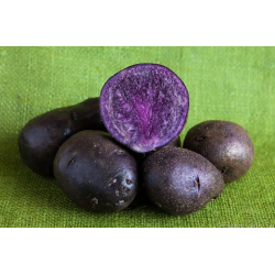 Фиолетовая Картошка Сорт Фото