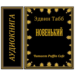 Аудиокнига новенький. Эдвин Табб. Эдвин Золотая надпись Эдвин. Новенькая аудиокнига.