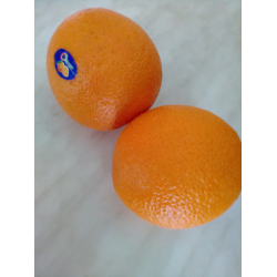 Отзывы о Апельсины Citrus