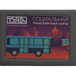 Отзыв о Социальная транспортная пластиковая карта (Тула, Россия)