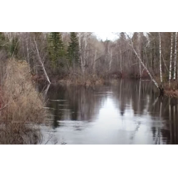 Otzyvy O Splav Ob Enisejskij Vodnyj Kanal Rossiya