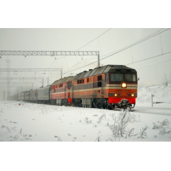 Скорый отзывы. Тэп70-0365. Тэп70 0293 латвийский в Волоколамске. Поезд дальнего следования тэп70. Санкт-Петербург Мариуполь поезд.