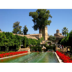 Отзыв о Дворец Алькасар (Alcazar de los Reyes Cristianos) (Испания, Кордова)