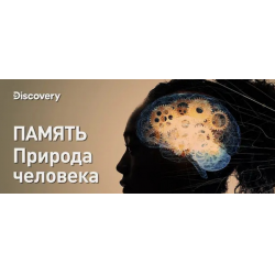 Отзыв о Документальный фильм Discovery "Память. Природа человека" (2021)