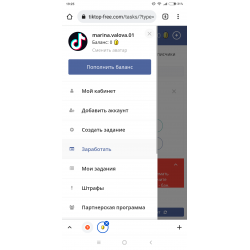 Отзыв о Tik-tok free - сайт для раскрутки и заработка