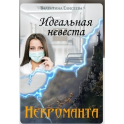 Отзыв о Книга "Идеальная невеста некроманта" - Валентина Елисеева