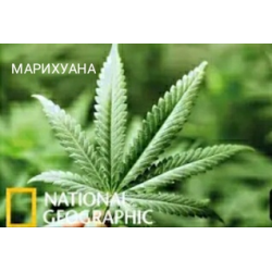документалка про марихуану