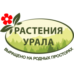 Плант урала. Уфа Урал Плодопитомник кандидат наук. Уфа Урал Плодопитомник Костылев.