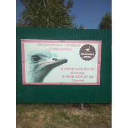 Отзыв о Страусиное ранчо (Россия, Долгогусевский)