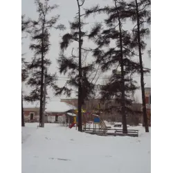 Отзыв о Парк "Каштаковская роща" (Россия, Иркутск)
