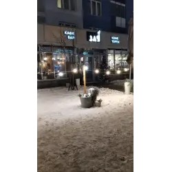 Отзыв о Кафе-бар "Зая" (Россия, Екатеринбург)