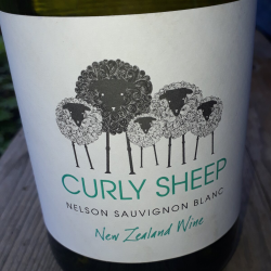 Вино sheep. Curly Sheep Sauvignon Blanc. Curly Sheep вино. Curly Sheep Sauvignon Blanc South Africa.