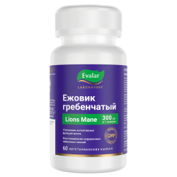 Ежовик гребенчатый: польза и вред для здоровья, отзыв о приеме БАДа, личный опыт